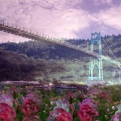 St. John's Bridge St. John's Bridge