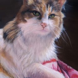 Peeper, 12x16 Commissioned Pet Portrait Acrylic Peeper, 12x16 Commissioned Pet Portrait Acrylic