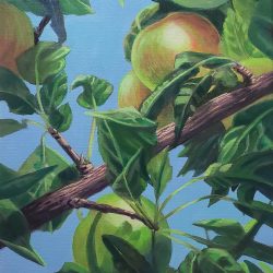 Pie in the Sky, 12x16 Acrylic Pie in the Sky, 12x16 Acrylic