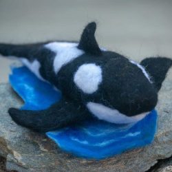 Needle felted Orca