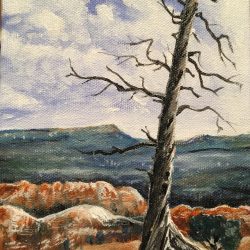 Bryce Canyon Pine, 5x7 Acrylic on Canvas (SOLD)