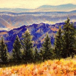 Hells Canyon Overlook, Wallowa County, Acrylic on Canvas (SOLD)